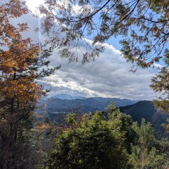 振り返れば富士山が見える…訳ないですよねえ。