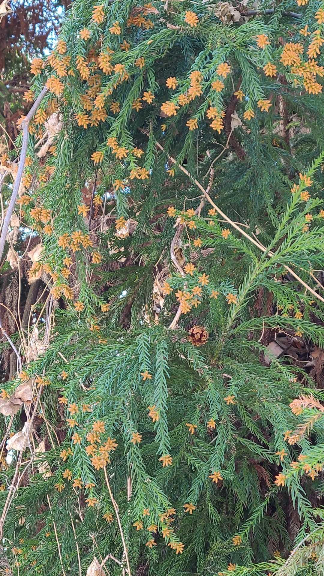 花粉すごいね‼️
私は仲良し
