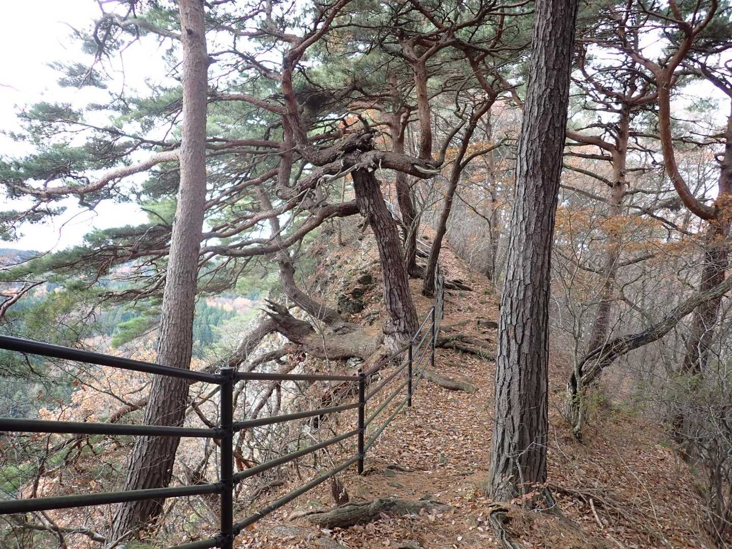 龍興山山頂目指します。