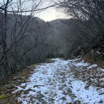 雪ないやん。。