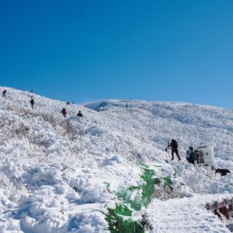 やっぱり爆風ですが人いっぱいです