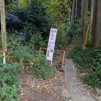 そして衣張山へ
この奥進みます