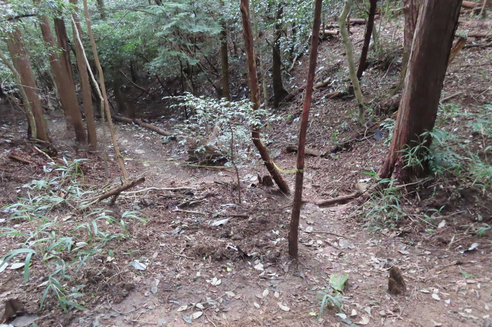 その先を下ります
標識３３から来る３２の近くに出ます