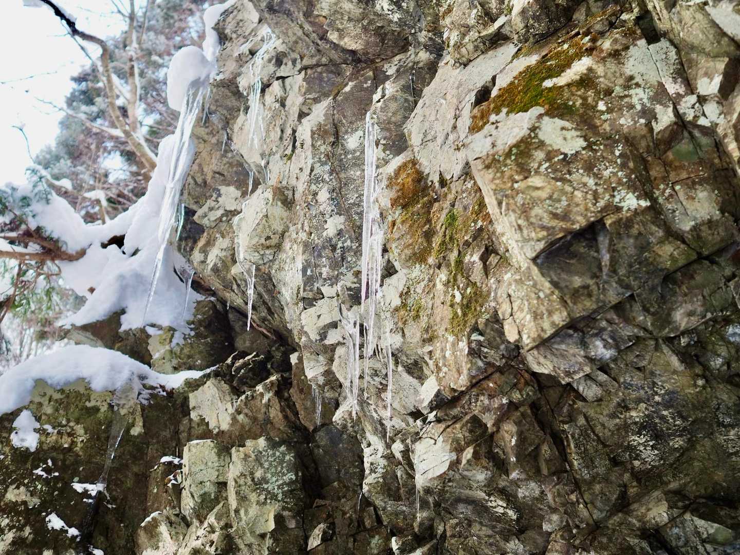 吉和冠山-土滝山-寂地山 往復コースの写真