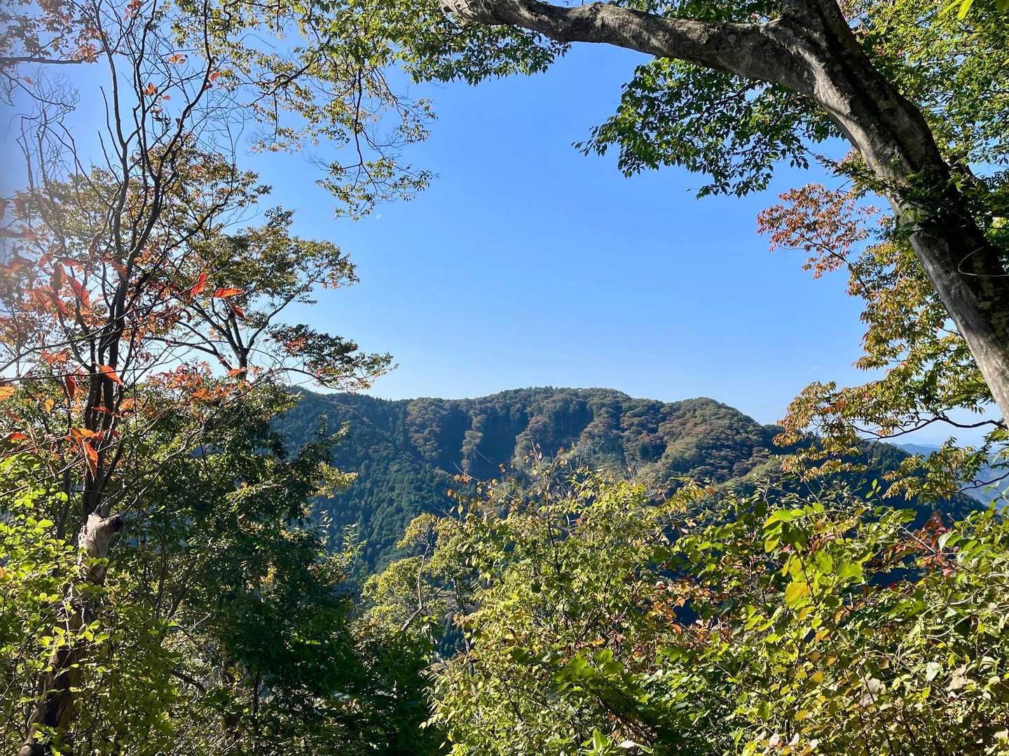向かいの稜線