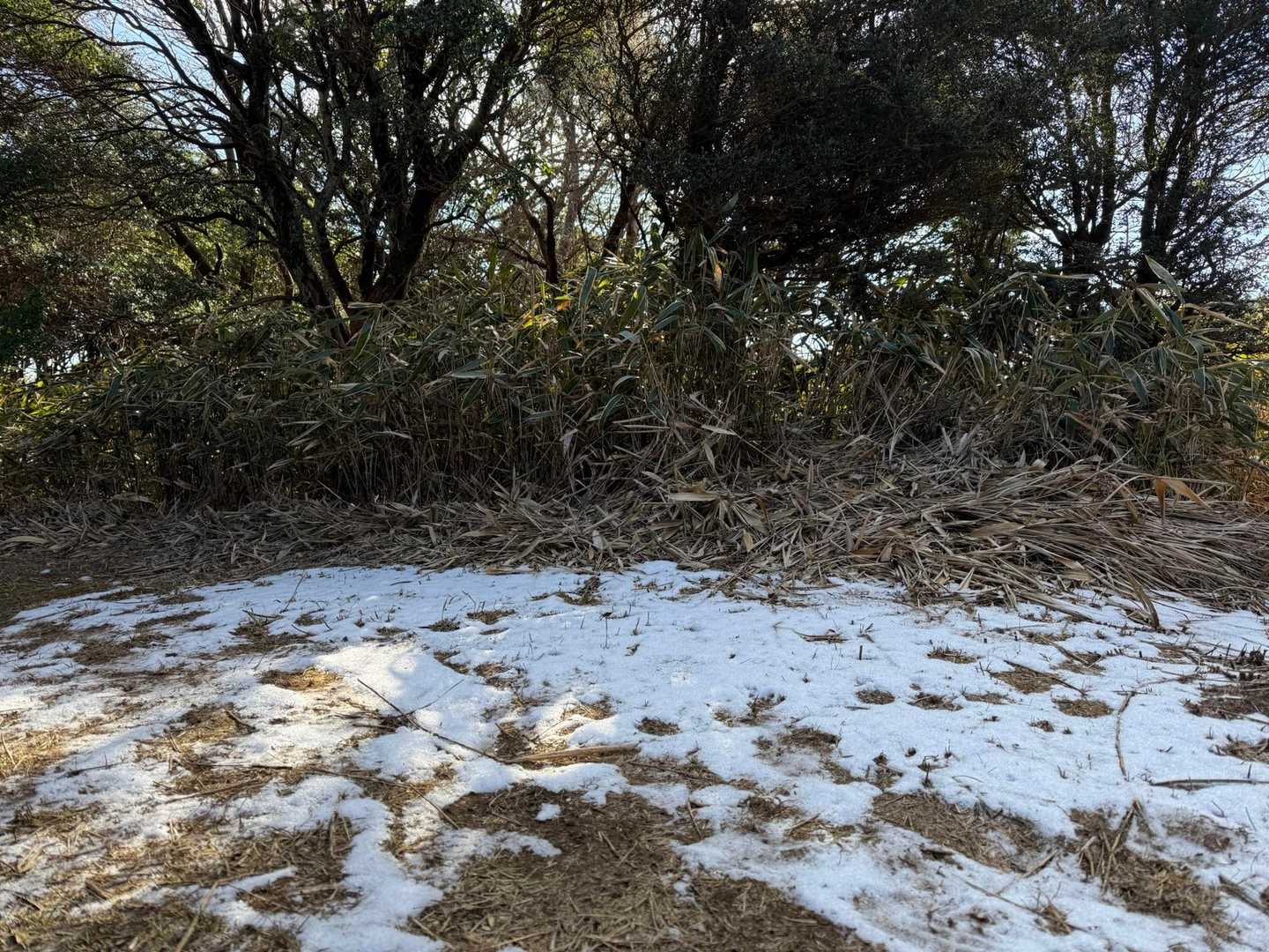 少し雪が残ってる