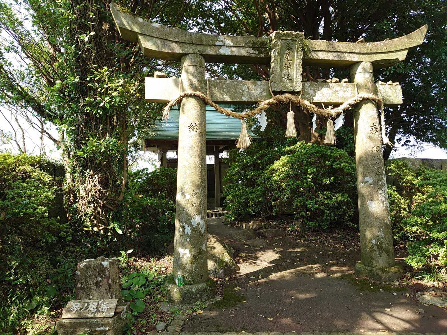 琴ノ尾岳の写真