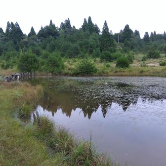 そして八雲ヶ原
テント泊す