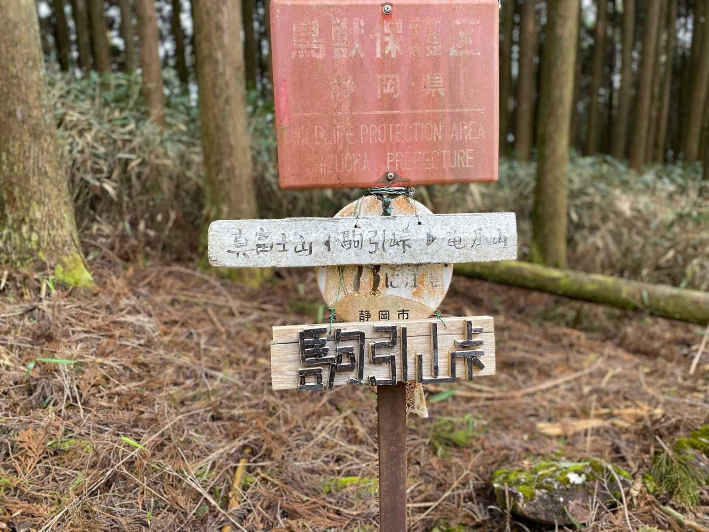 夢中で下って到着〜