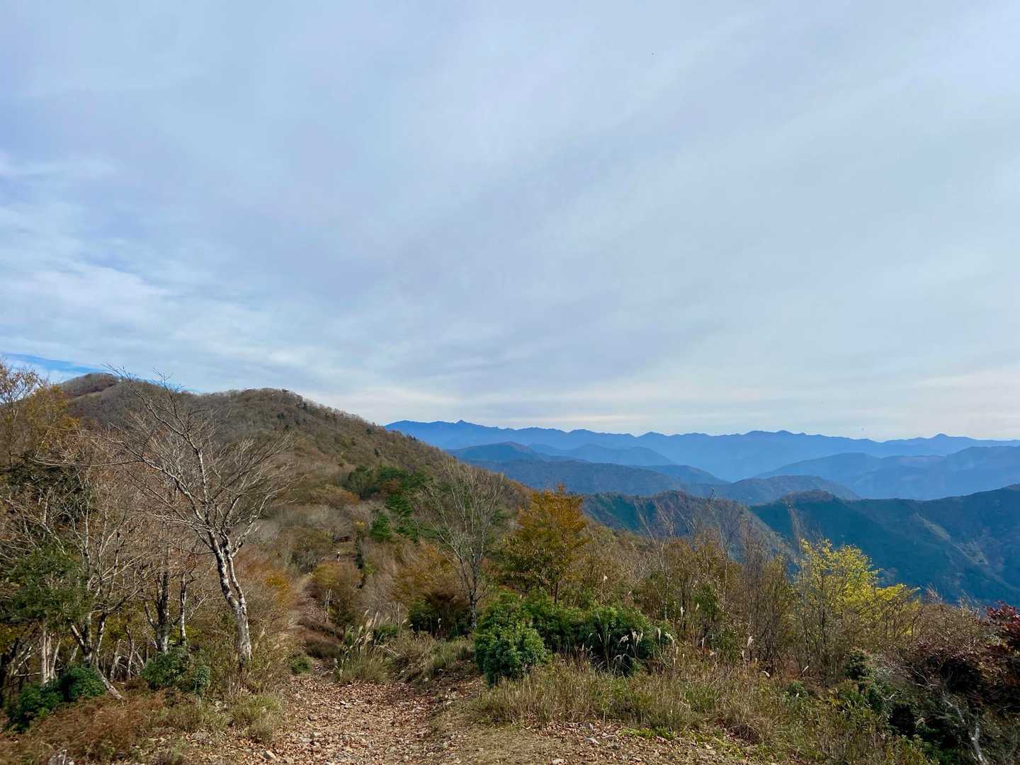 口千丈岳登山口-口千丈山-焼山ノ太尾ノ頭 往復コースの写真