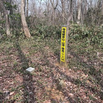 眺望無いので戻ります