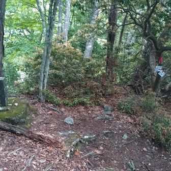 笊ヶ岳山頂では「また来ればいいや」なんて思ったワタシは間違いでした❌️
マジで心折れました😫
この果てしない上り下りを安易に再訪するなど言ってはいけないコトを痛感しました😭
山の神に無事下山できることを切に祈りました😂🙏
