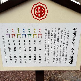 七色の鳥居を通ってきました⛩️