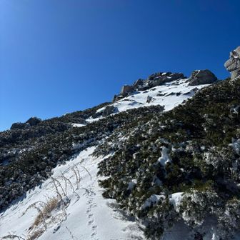 カモシカトレース