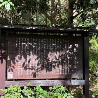 玉簾の湧き水は延命水だと👍