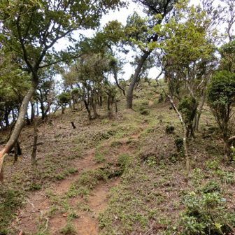 最後の登りがなかなかキツイ💦