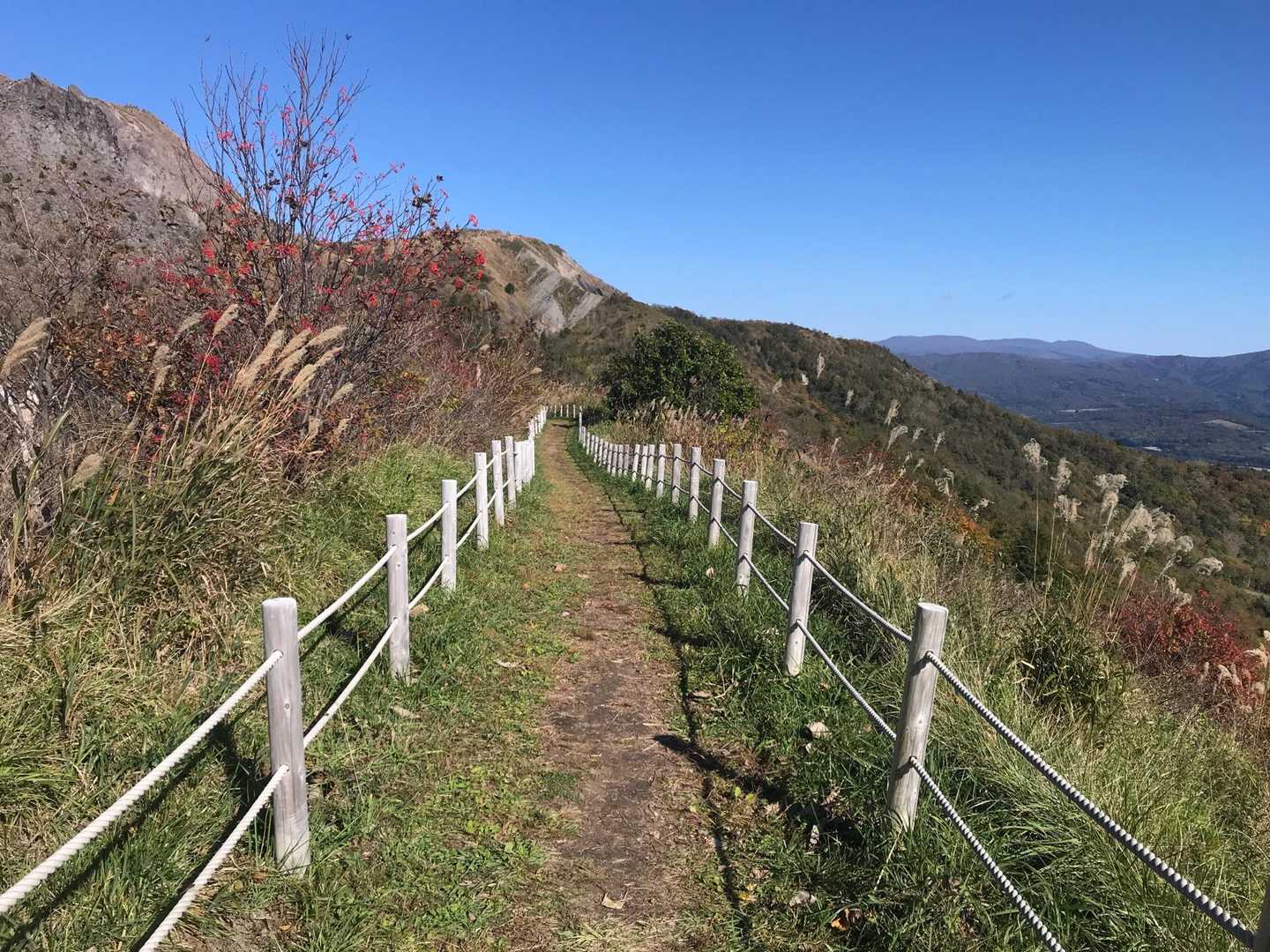 歩きやすい遊歩道