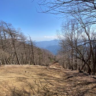 ここ登ってくるのにしんどかった😵‍💫