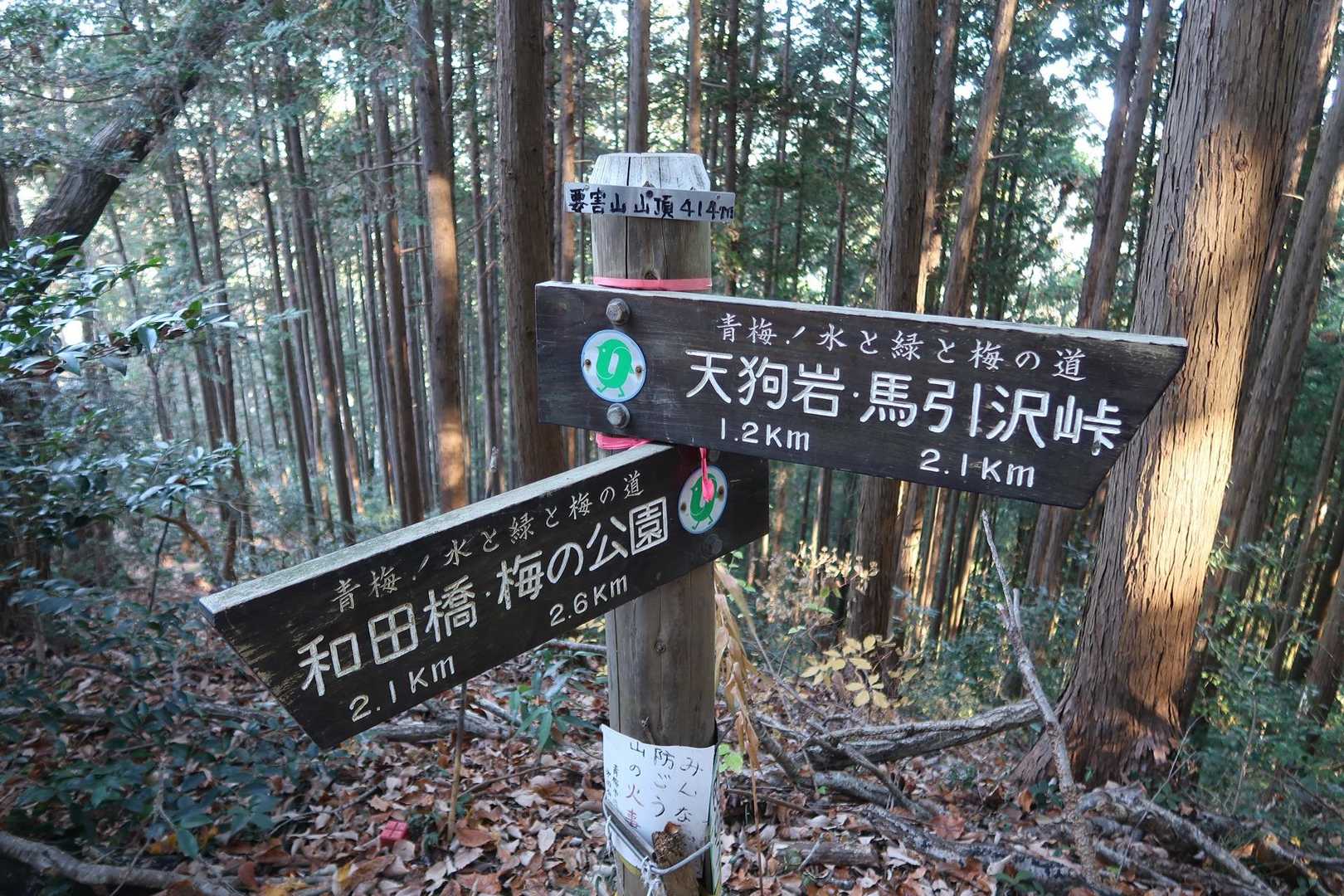 なんて気をとられていたら見過ごしていた💦