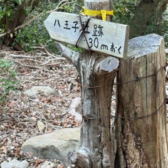 紀泉アルプス・飯盛山・ボンデン山 一応寄っとく