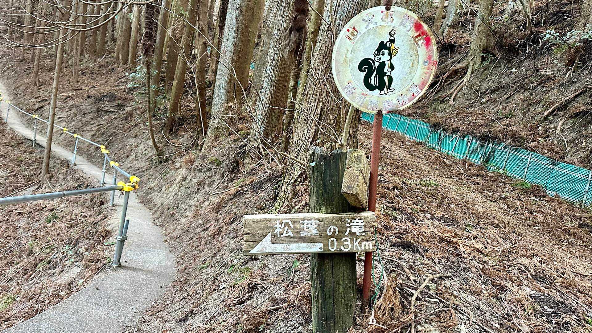 松葉の滝までは整備されていてとても歩きやすいです😀