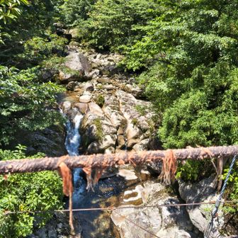 川の水も少なめ