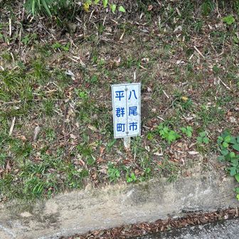 よほど