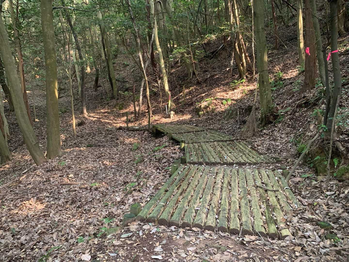 堀切港バス停-伊崎山 往復コースの写真