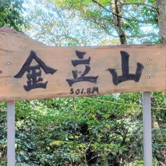 さんちょう