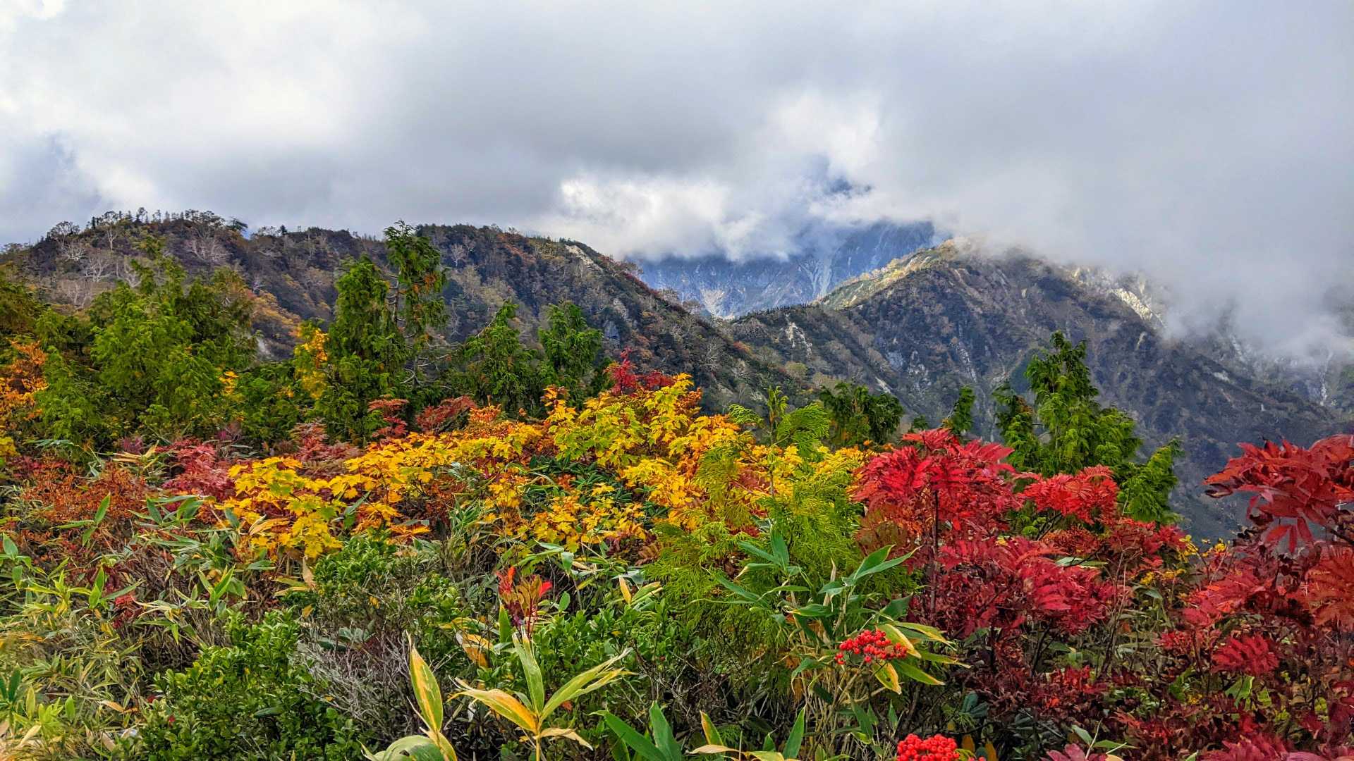 二ノ背髪-小遠見山-五竜登山口-中遠見山-大遠見山-地蔵の 縦走コースの写真