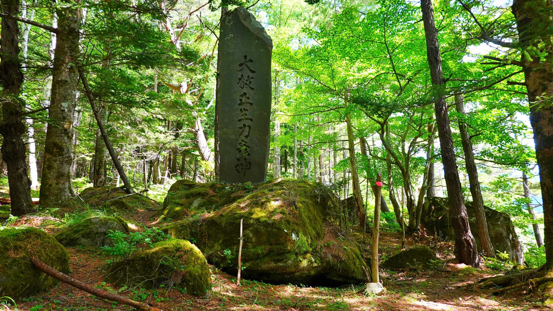 虎尾神社へ寄り道。大きな石碑が建っていた
