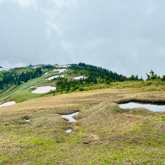 中門岳から会津駒ヶ岳を眺めてじーんじーんじーーーーん