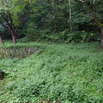 黒龍山登山口がここですが、案内なく少し分かりにくいです。