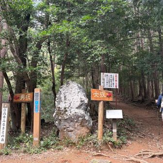 行きは男坂、帰りは女坂にしました。