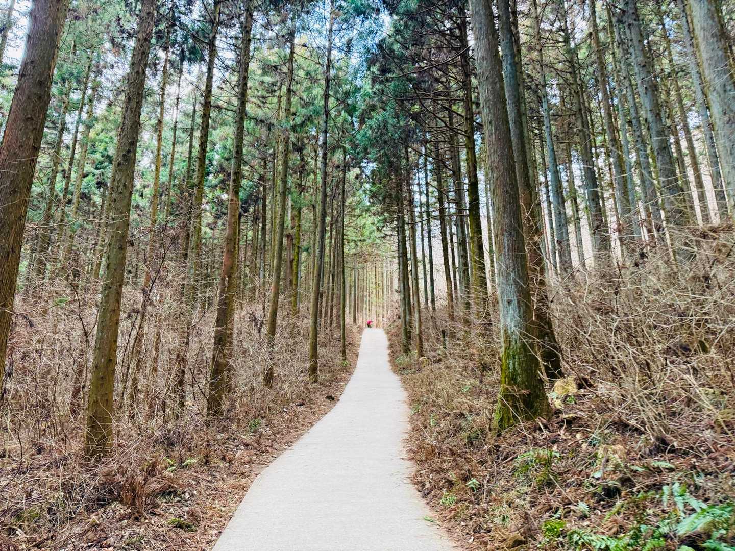 妻は３時までランチとのこと。３時半までに戻ってくれば大丈夫です。