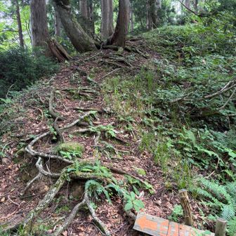 分岐点に来ました。

高峰山方面☝️

白岩ルート👈