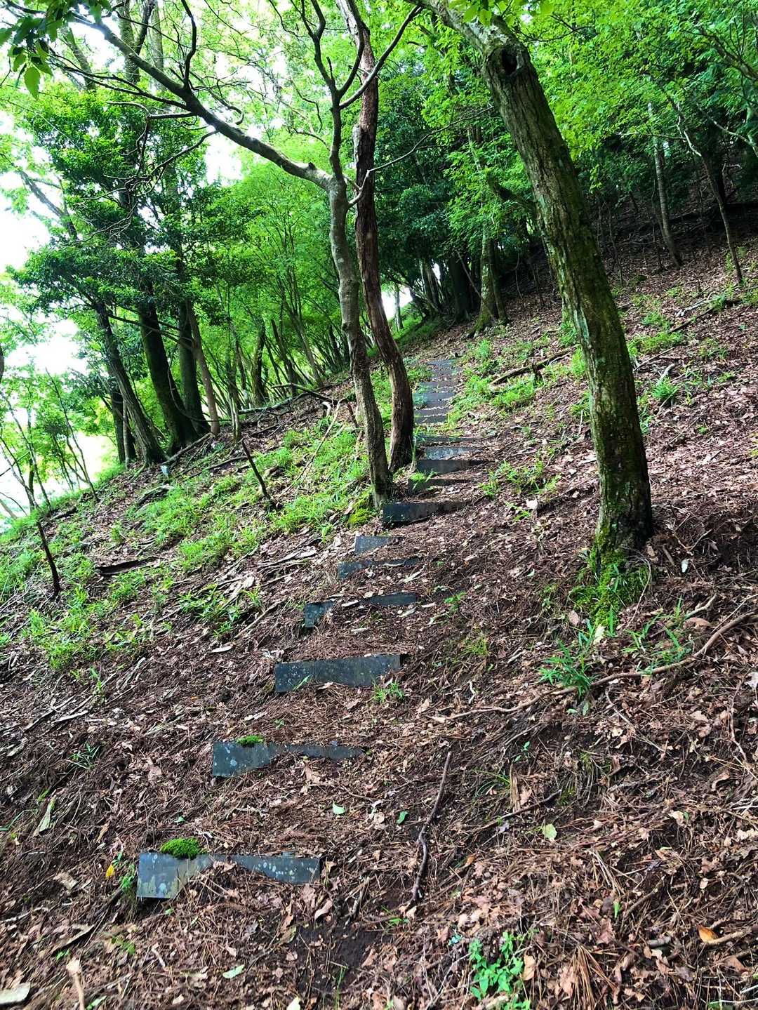 プラ階段。と、いうことは鉄塔がある？