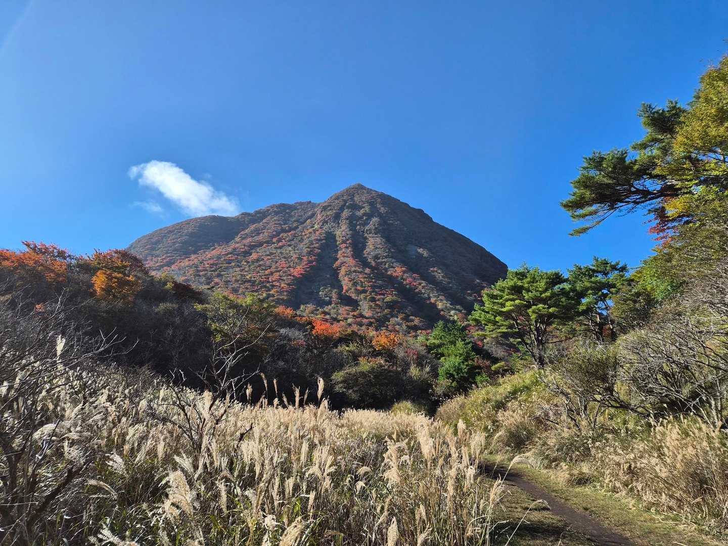 今回のルートでここが一番きれいだったな