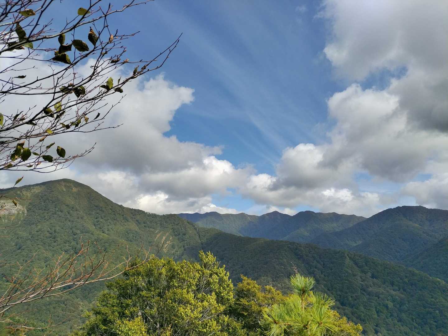朝日の方は紅葉はまだかな