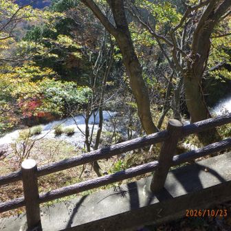 湯の湖一周の旅終了。湯滝へ戻ります