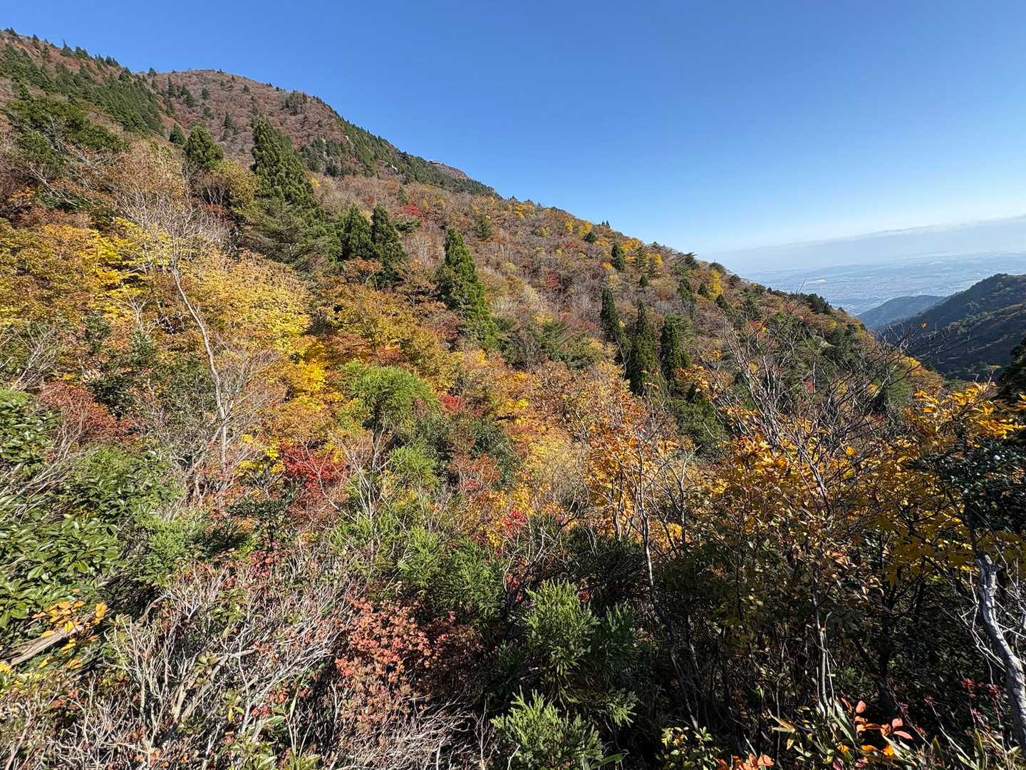 こっちの斜面も良い