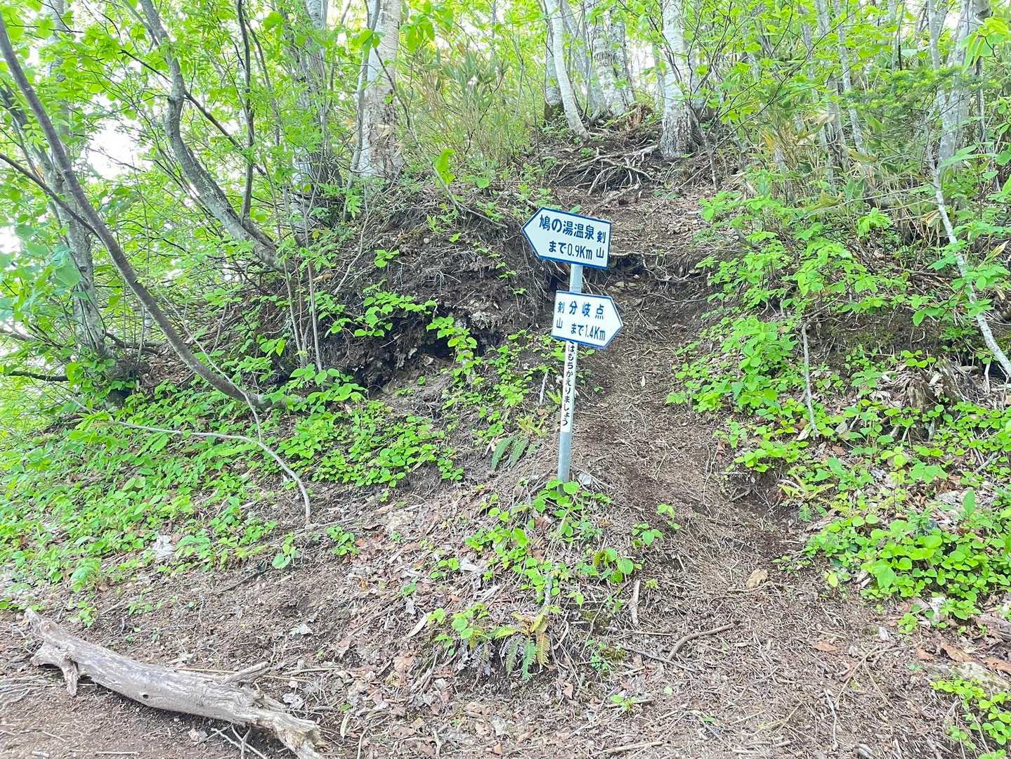 剣山-音江山 往復コースの写真