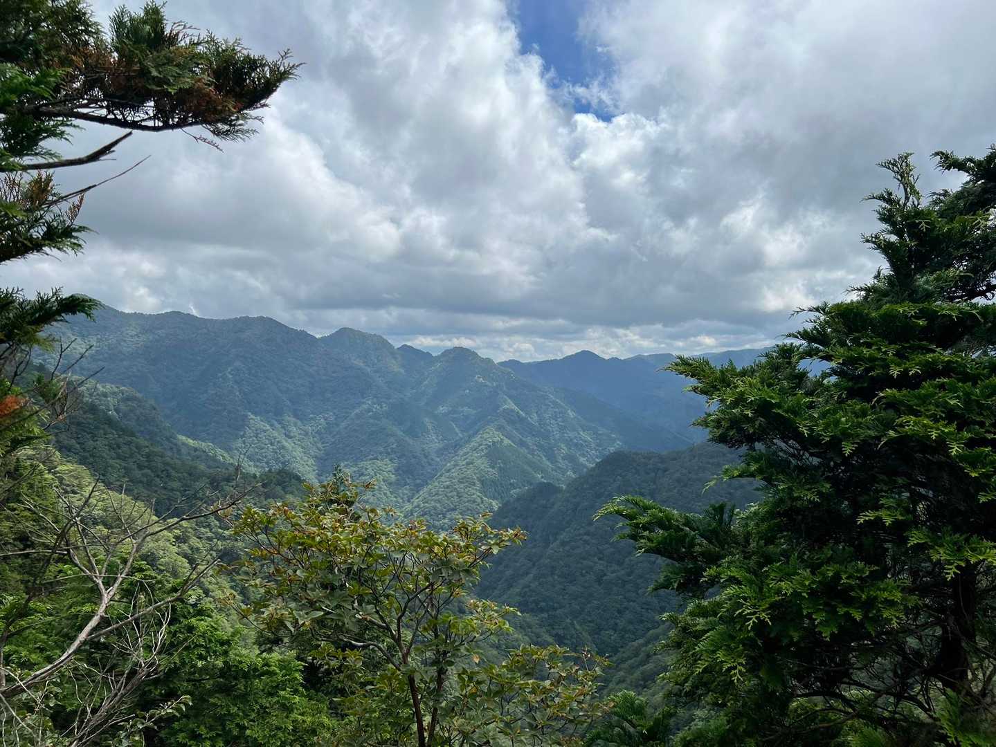 大峰奥駆道の稜線❗️