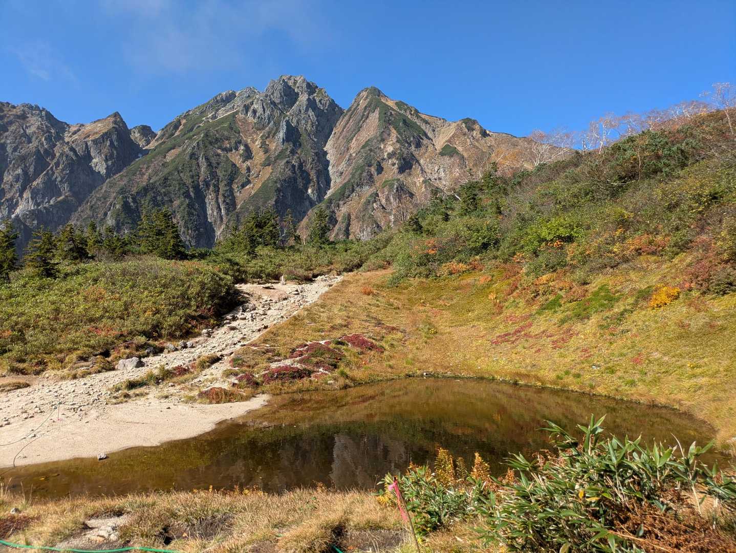 地蔵の頭-二ノ背髪-小遠見山-五竜登山口-中遠見山-大遠見 縦走コースの写真