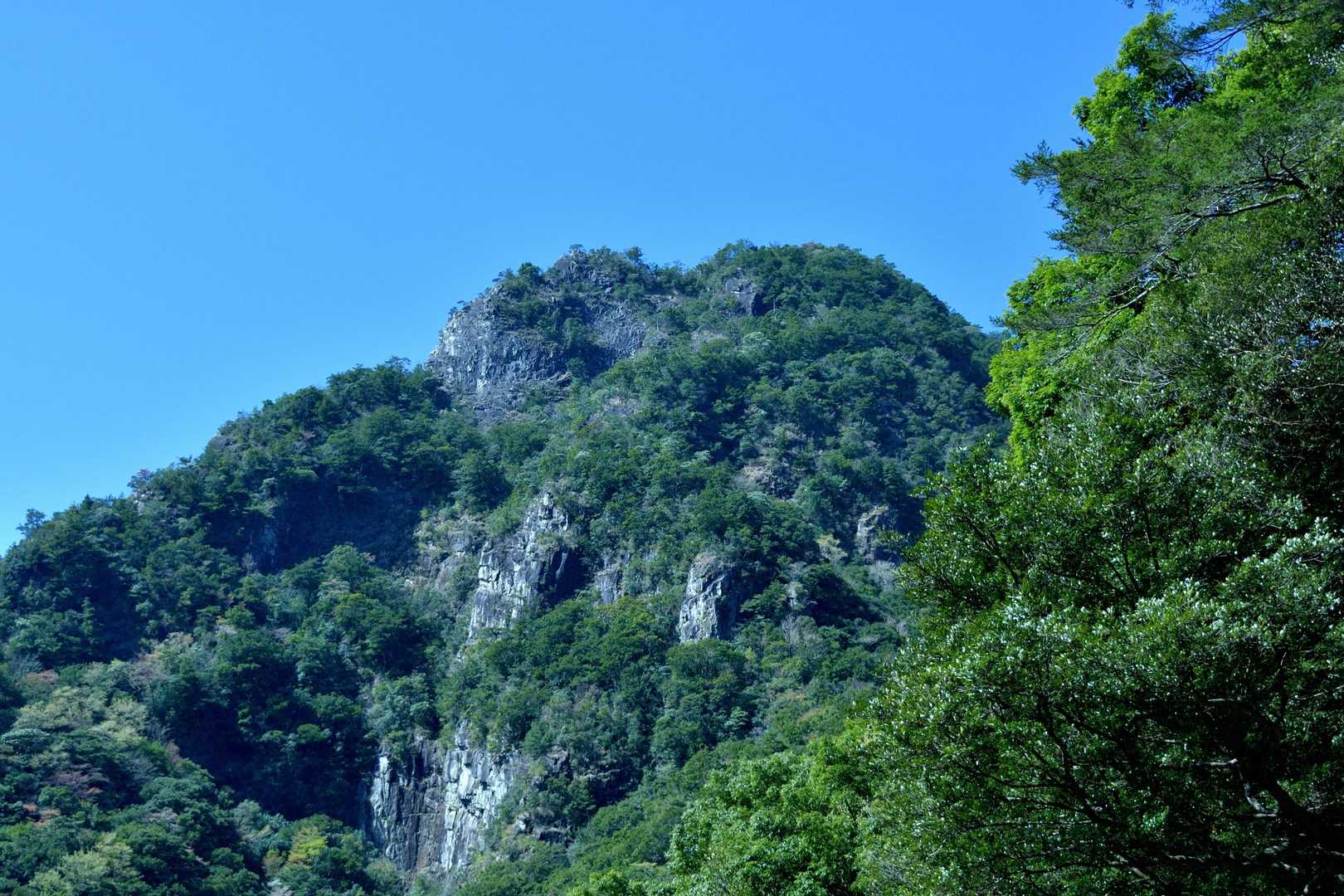 南峰です・・・