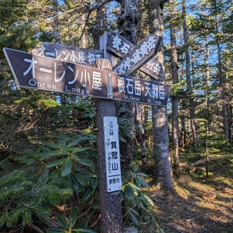 翌日は､オーレン小屋からシラビソの森をトコトコ登って箕冠山へ
