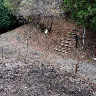 世附峠に出ました