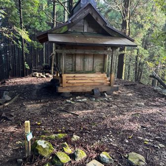 立派な祠
眺望ないけど信仰のお山かなぁ