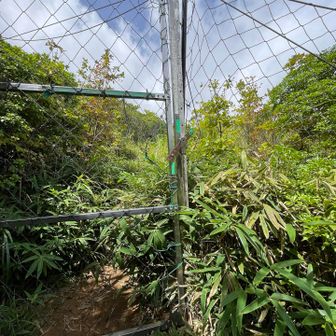 頂上も植生保護のネットが張り巡らされています
植生保護ネット。きちんと閉めましょう👍