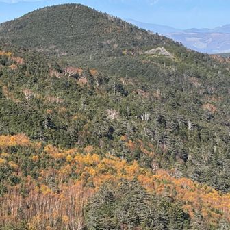 イエローラインの紅葉と💛

バックにそびえる山々が🤩 ﾔﾊﾞﾔﾊﾞ！


2026年8月　充実🤩槍穂高連峰大縦走
https://yamap.com/activities/50735994